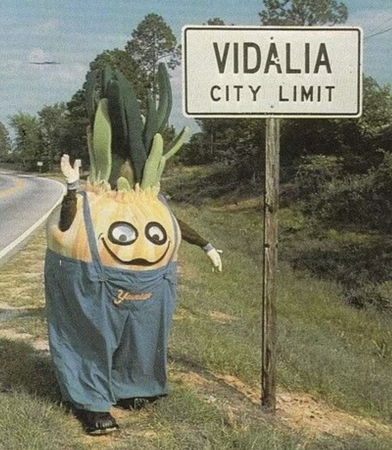 vidalia onion mascot - Vidalia City Limit